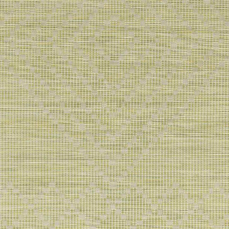 Craailo Global Light Green Area Rug