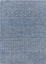 Cruquius Global Navy Area Rug