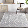 Wals Global Medium Gray Area Rug