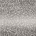 Coin Modern Charcoal Area Rug