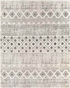 Oolde Global Light Gray Area Rug