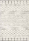 Moorst Global Light Gray Area Rug