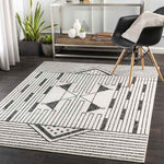 Neerijnen Modern Light Gray Area Rug