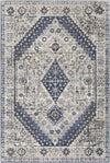 Lochem Traditional Light Gray Area Rug