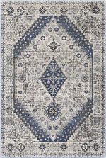 Lochem Traditional Light Gray Area Rug