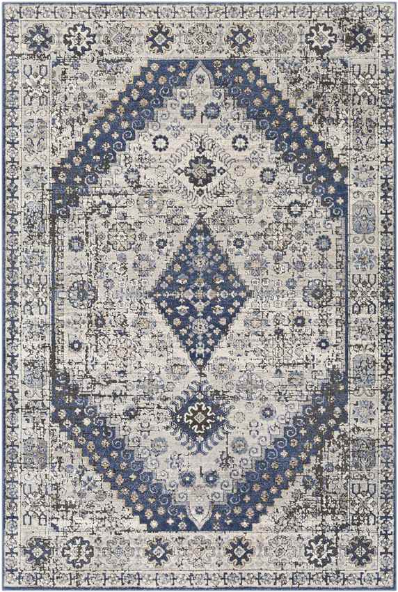 Lochem Traditional Light Gray Area Rug