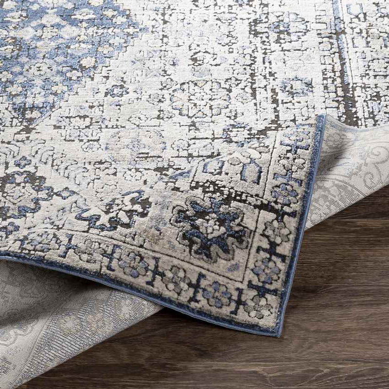 Lochem Traditional Light Gray Area Rug