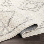 Haaften Global Medium Gray Area Rug