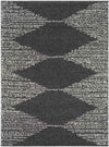 Haarlo Global Charcoal Area Rug