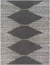 Haarlo Global Charcoal Area Rug