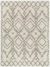 Heegh Global Medium Gray Area Rug