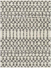 Heelsum Global Charcoal Area Rug