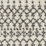 Heelsum Global Charcoal Area Rug