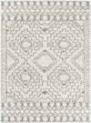 Twisk Global Medium Gray Area Rug