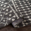 Uitdam Global Black Area Rug