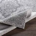 Groet Traditional Medium Gray Area Rug