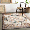 Heemskerk Traditional Pale Pink Area Rug