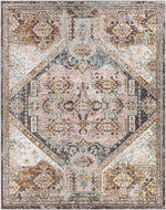 Heemskerk Traditional Charcoal Area Rug