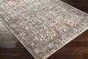 Heiloo Traditional Brick Area Rug