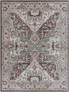 Heiloo Traditional Burnt Orange Area Rug