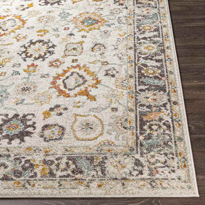 Hoogwoud Traditional Ivory Area Rug