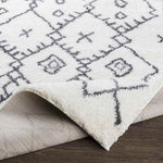 Koedijk Global Charcoal Area Rug