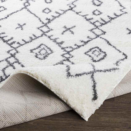Koedijk Global Charcoal Area Rug