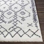 Koedijk Global Charcoal Area Rug