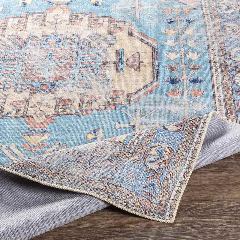Laren Traditional Aqua Washable Area Rug
