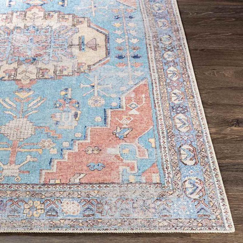 Laren Traditional Aqua Washable Area Rug