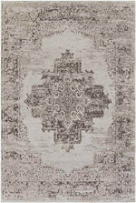 Naarden Traditional Light Gray Area Rug
