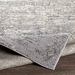 Oostzaan Modern Medium Gray Area Rug