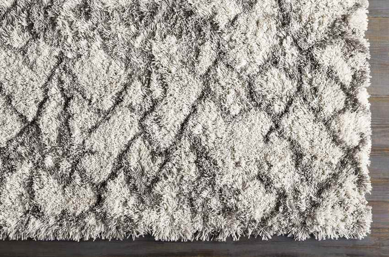 Oudorp Modern Medium Gray Area Rug