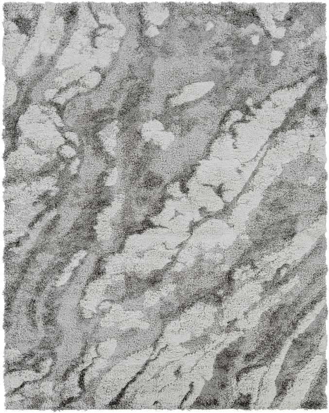 Overmeer Modern Medium Gray Area Rug