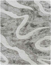 Pannekeet Modern Charcoal Area Rug