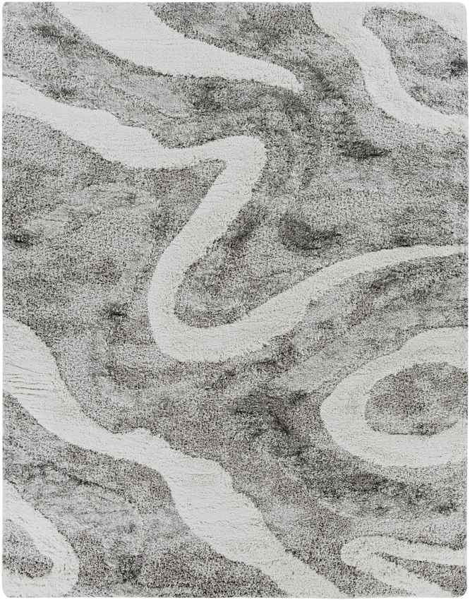 Pannekeet Modern Charcoal Area Rug