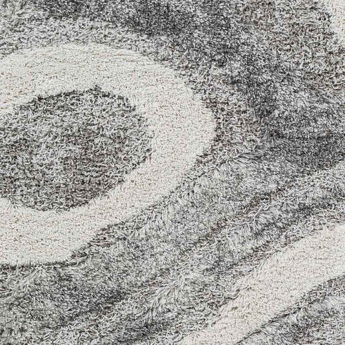 Pannekeet Modern Charcoal Area Rug