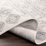 Tjallewal Global Medium Gray Area Rug