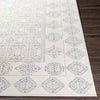 Tjallewal Global Medium Gray Area Rug