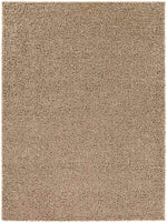 Tuindorp Modern Light Brown Area Rug