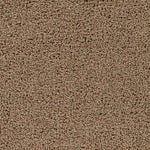 Tuindorp Modern Light Brown Area Rug