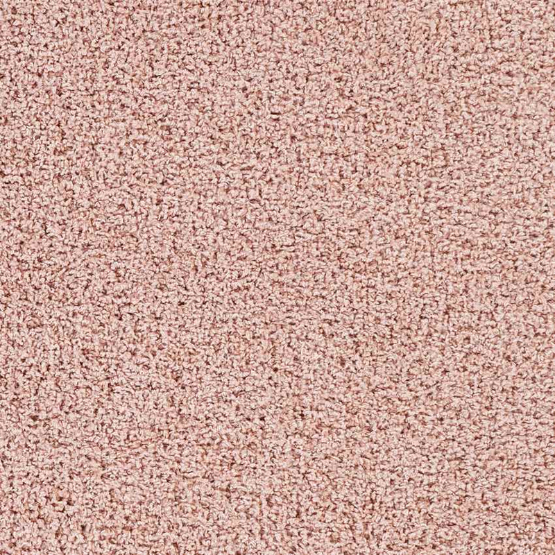 Tuindorp Modern Pale Pink Area Rug