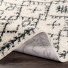 Wijmers Global Cream Area Rug