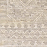 Bankert Global Camel Area Rug