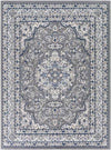 Belvert Traditional Medium Gray Area Rug