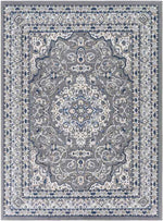 Belvert Traditional Medium Gray Area Rug