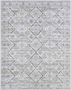 Berkhoek Global Light Gray Area Rug