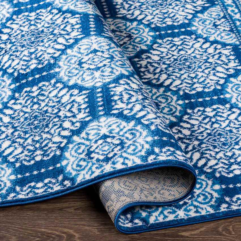 Beugen Traditional Blue Area Rug