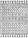 Beugt Global Medium Gray Area Rug