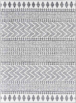 Beugt Global Medium Gray Area Rug